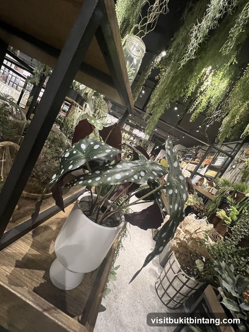 Indoor Plant Display