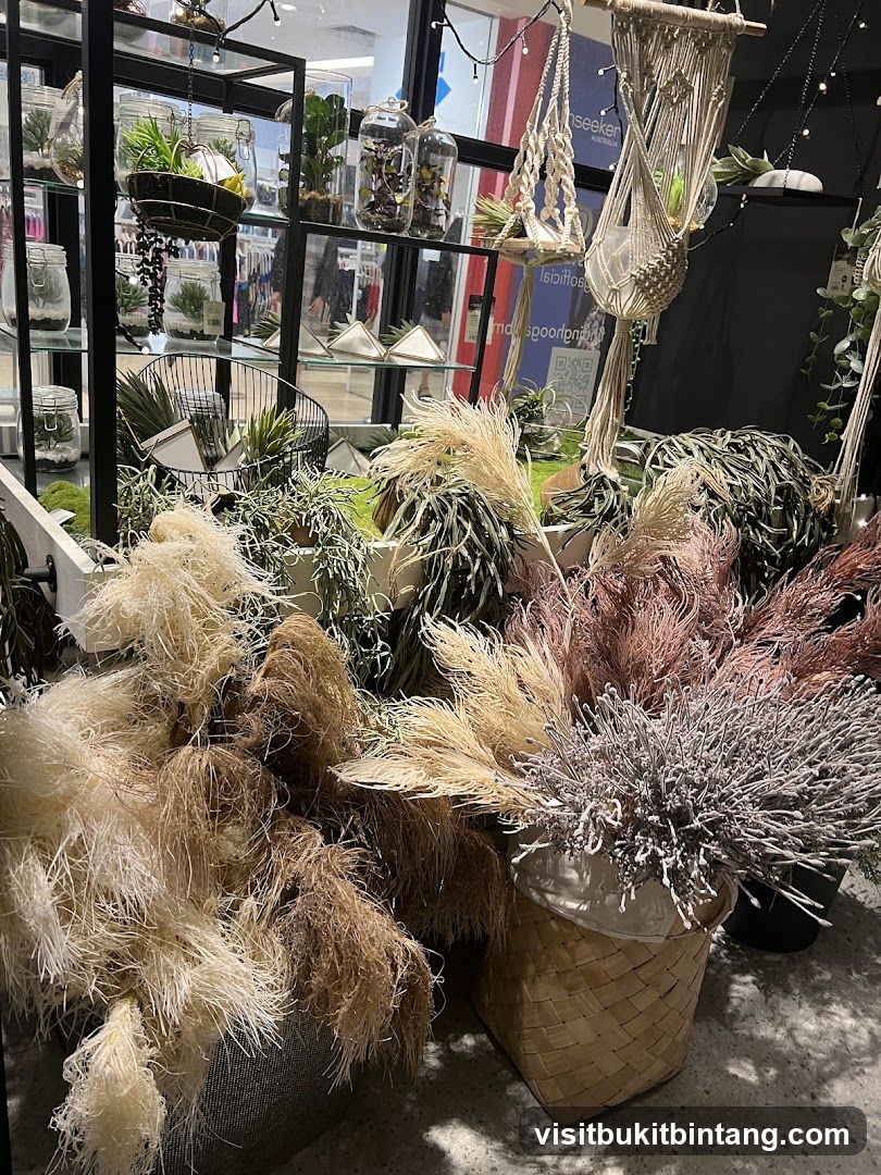 Dried floral arrangements and plants