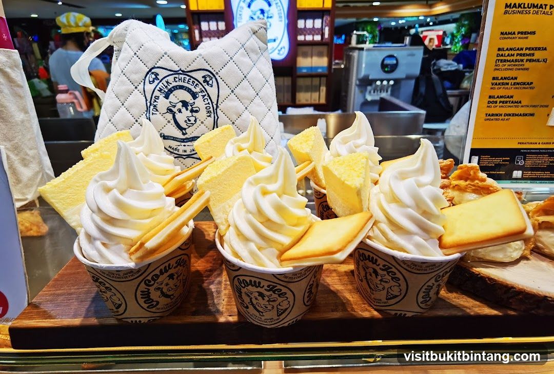 Soft Serve Ice Cream with Cake