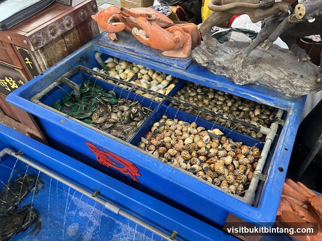 Seafood Display