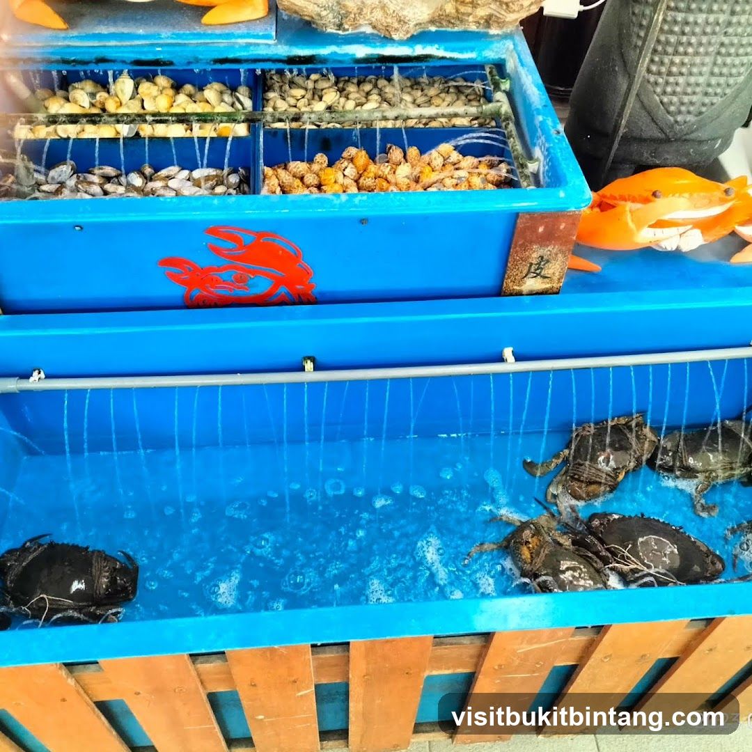 Live Seafood Display