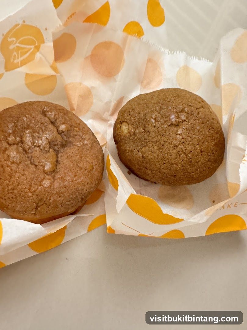 Two cookies on patterned paper
