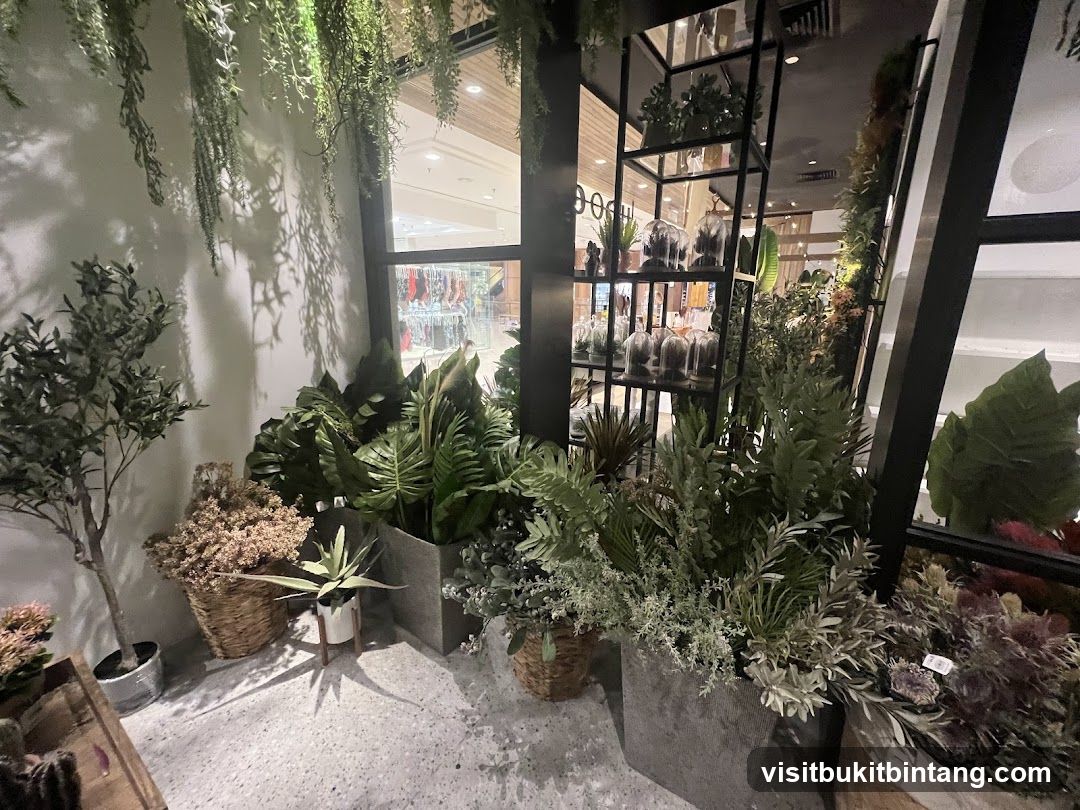 Indoor plants display