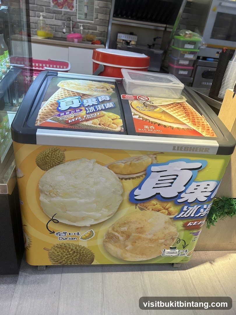 Ice Cream Freezer