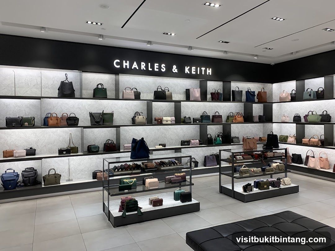 Charles & Keith Store Interior