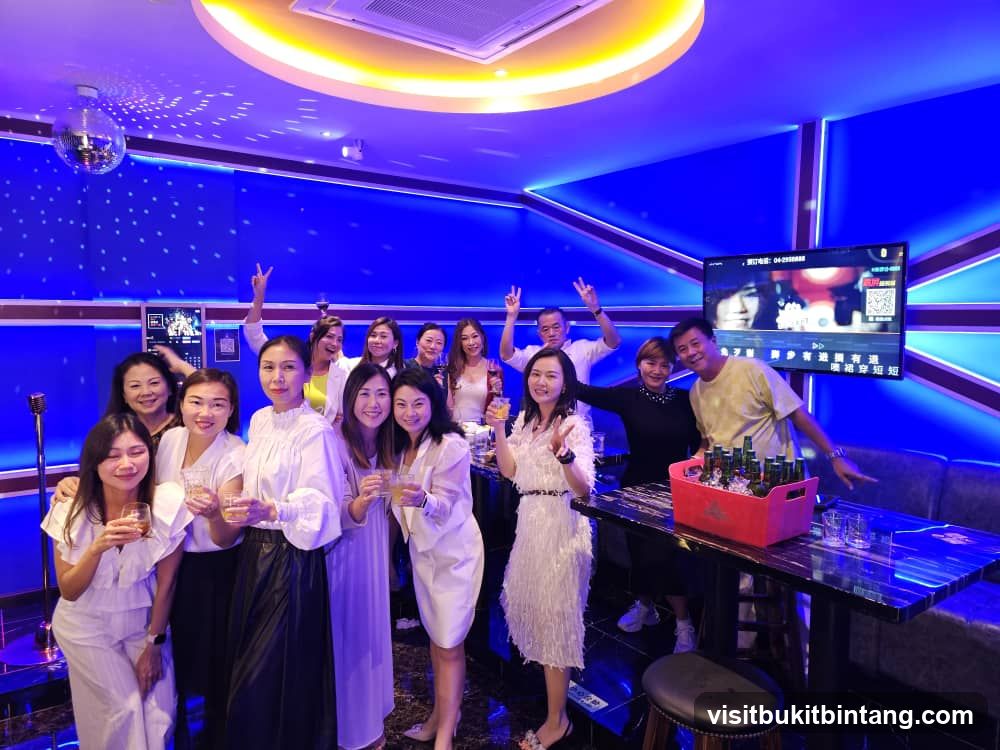 Group celebrating in a karaoke room