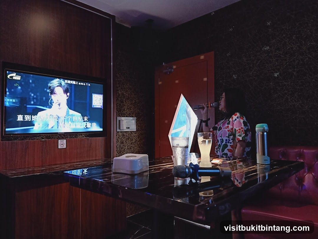 Karaoke Room