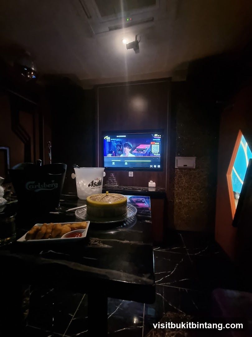 Karaoke Room with Food and Drinks