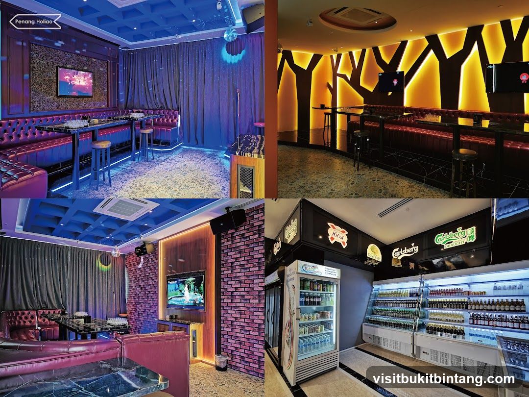 Karaoke Room and Bar Area