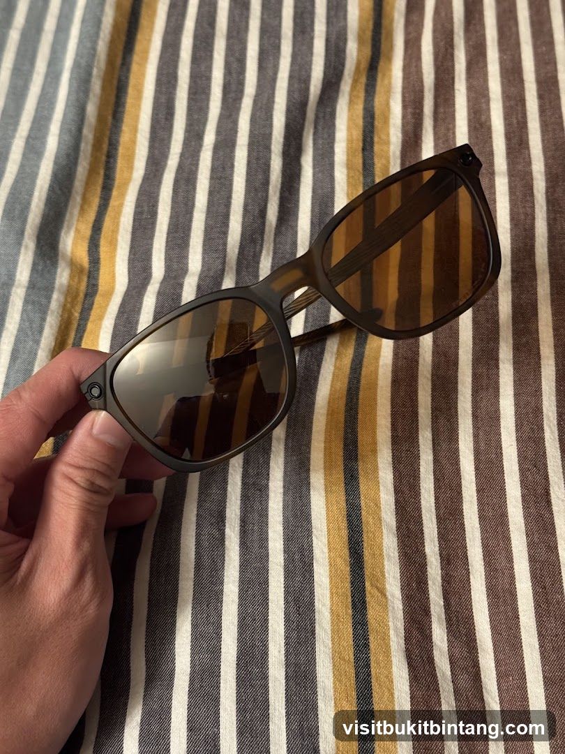 Sunglasses