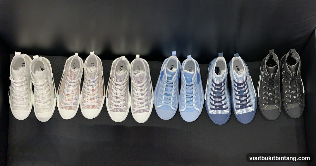 Dior Sneakers