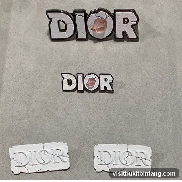 Dior Logo Emblems