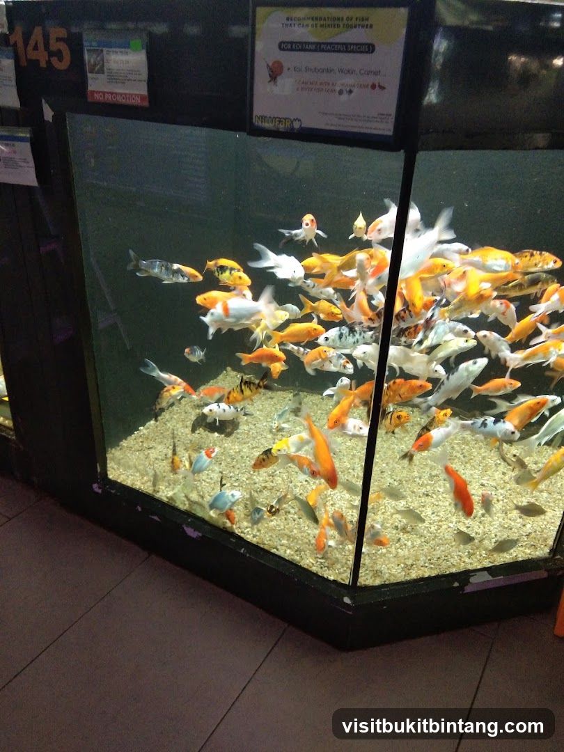Fish Tank