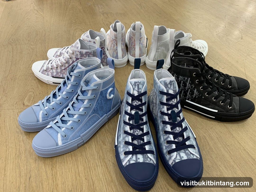 Dior B23 High-Top Sneakers