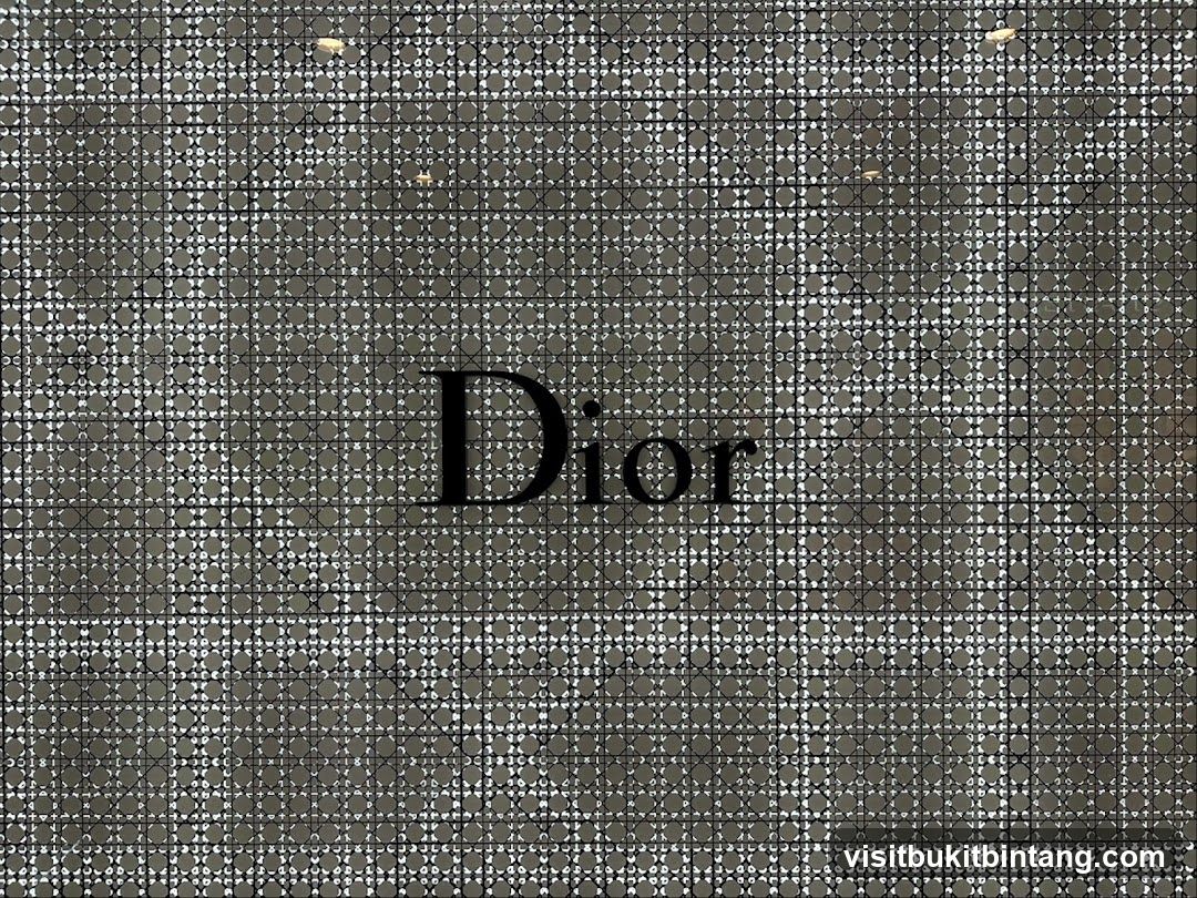 Dior Logo on Textured Background