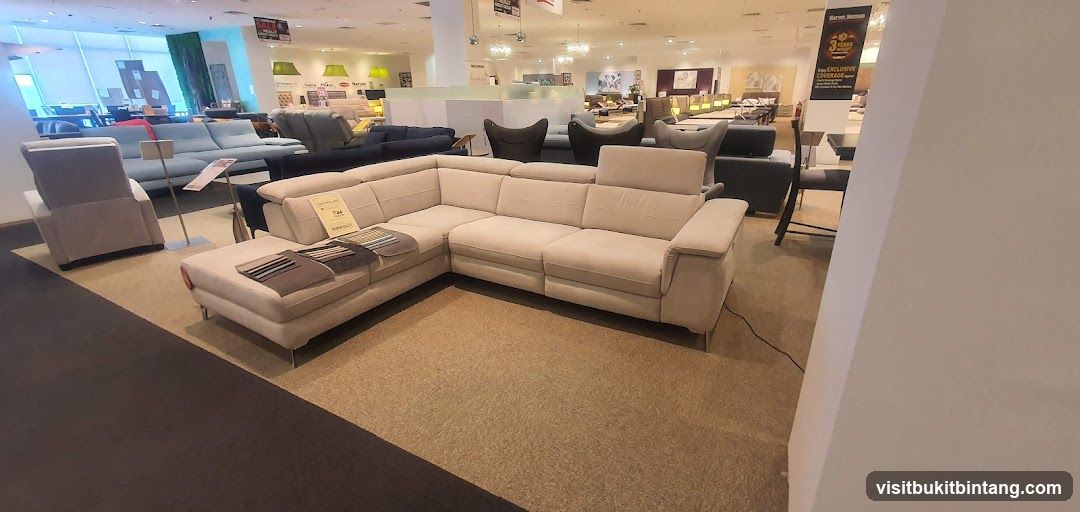 Furniture Store Interior