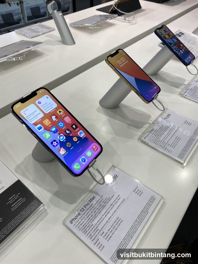 iPhone 12 Pro Max Display