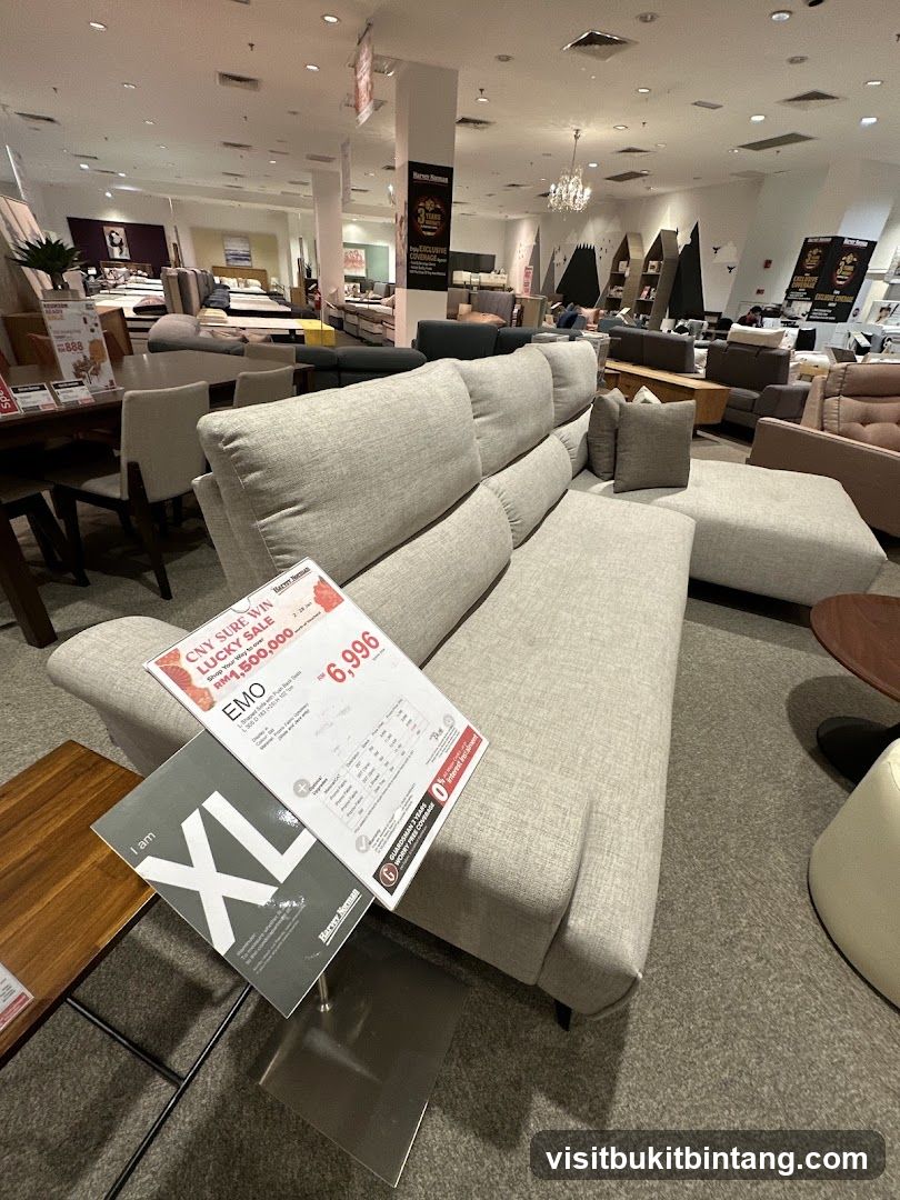 Furniture Store Display