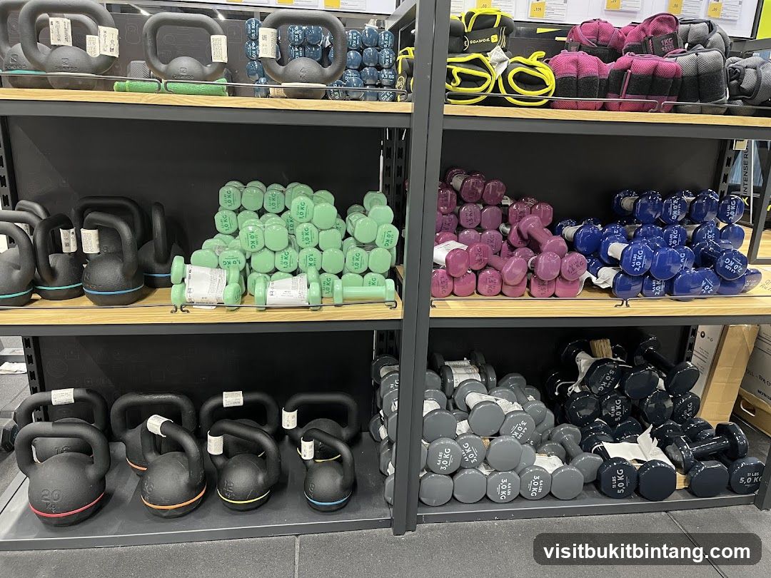 Dumbbells and Kettlebells on Shelves