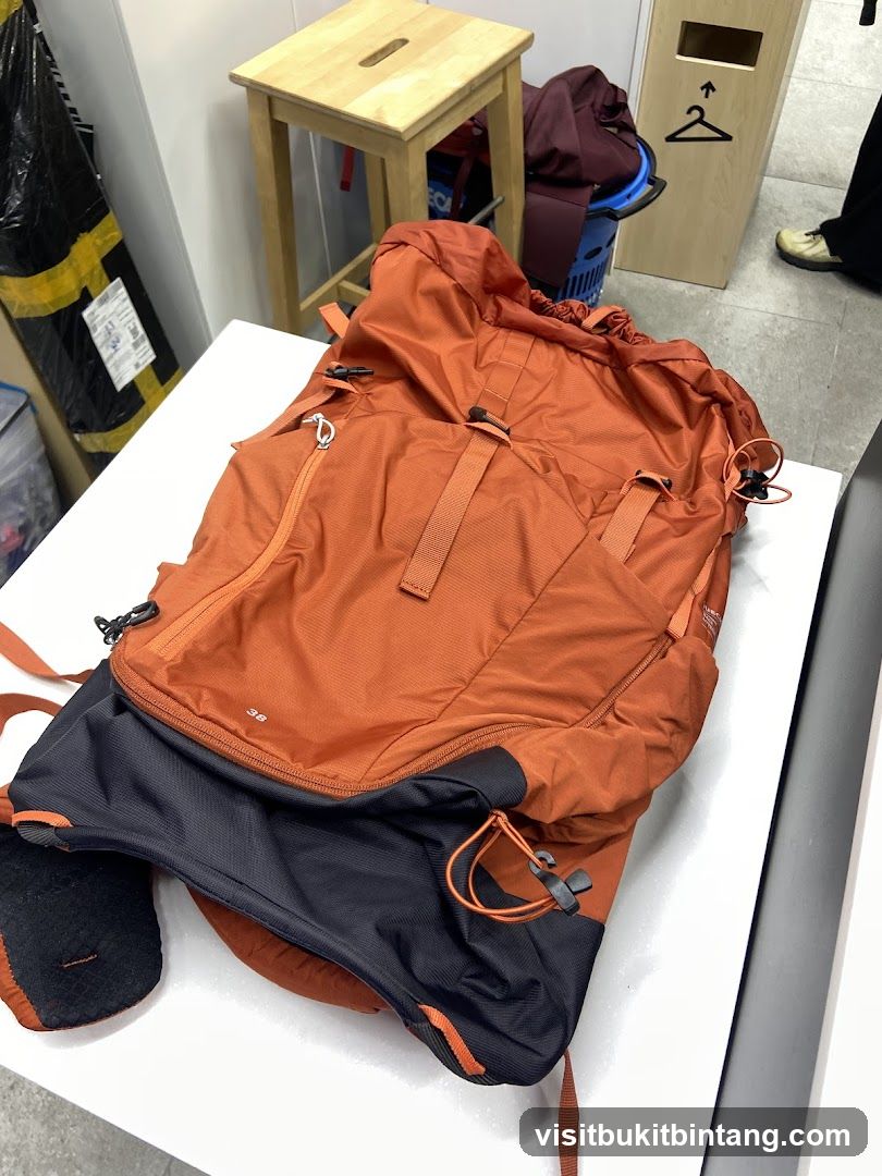 Orange Backpack