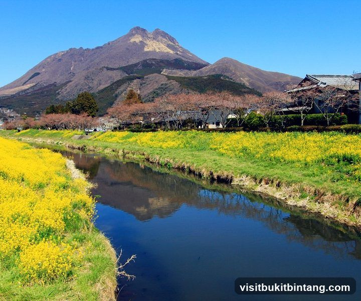 Hello Holidays Sdn. Bhd | Japan Tour & China Tour Specialist | MICE | Company Incentive Trip | Customised Tour | Bas & Van