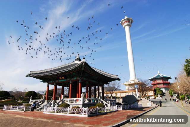 Seoul Tower and Pavilion with Birds