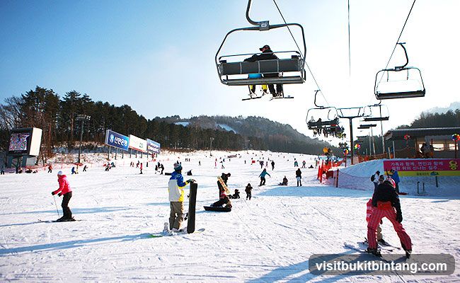 Ski Resort Scene