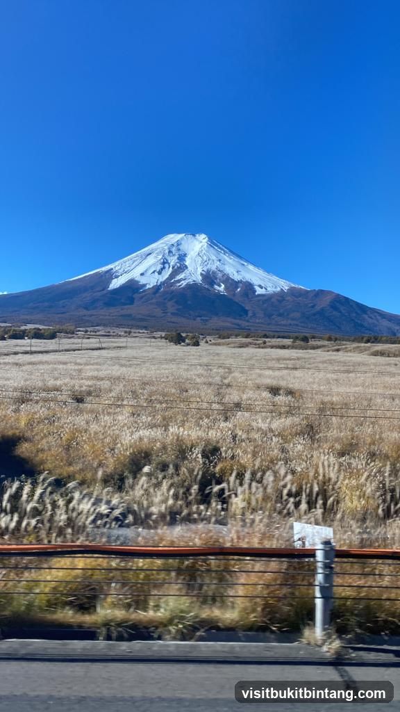 Mount Fuji Landscape