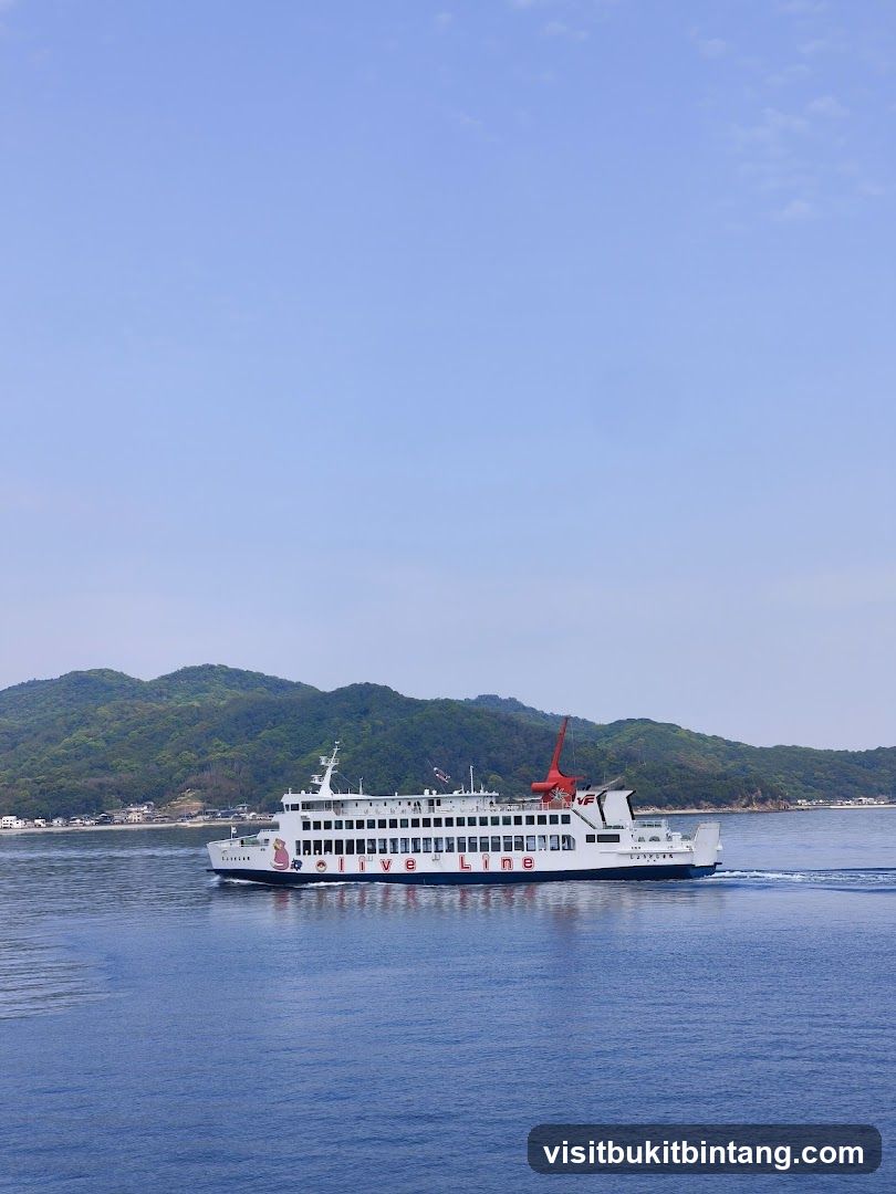 Ferry on the water with hills in background