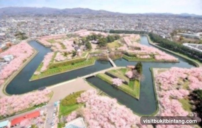 Aerial view of a castle with cherry blossoms