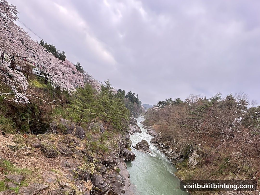 River Valley with Cherry Blossoms