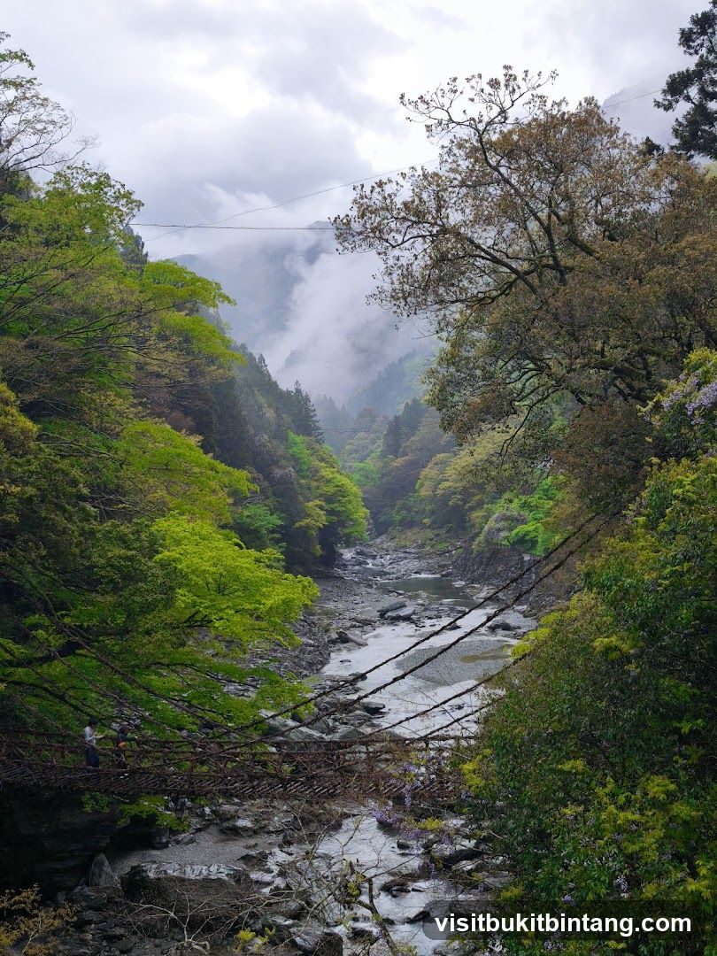 Riverside Suspension Bridge in Misty Valley