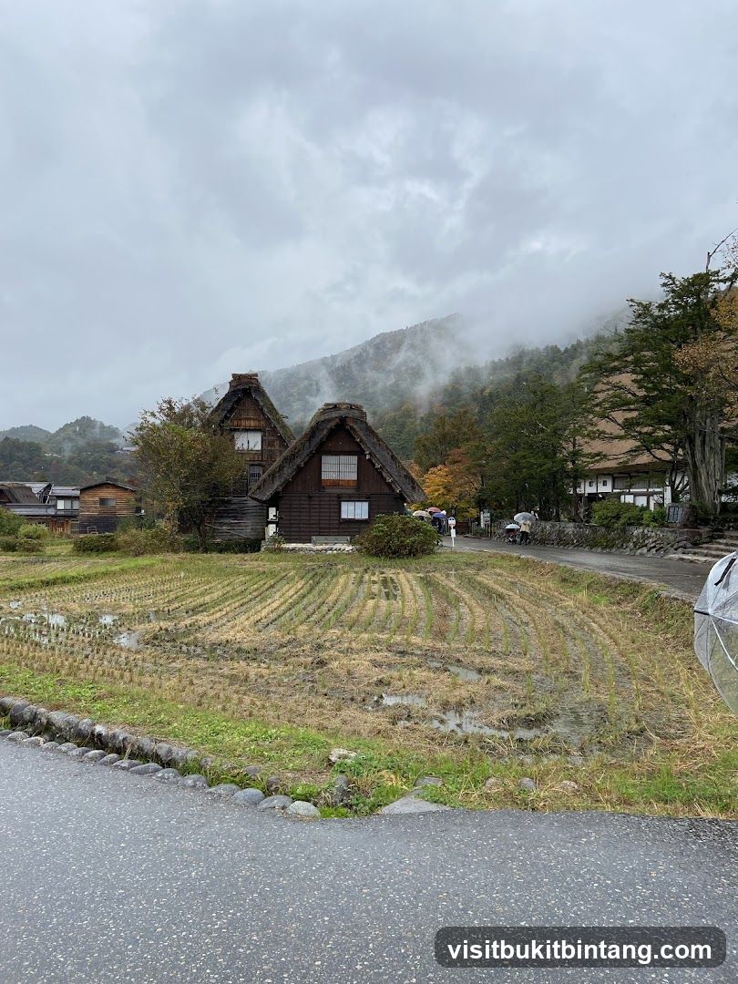 Traditional Japanese Houses in Rural Setting