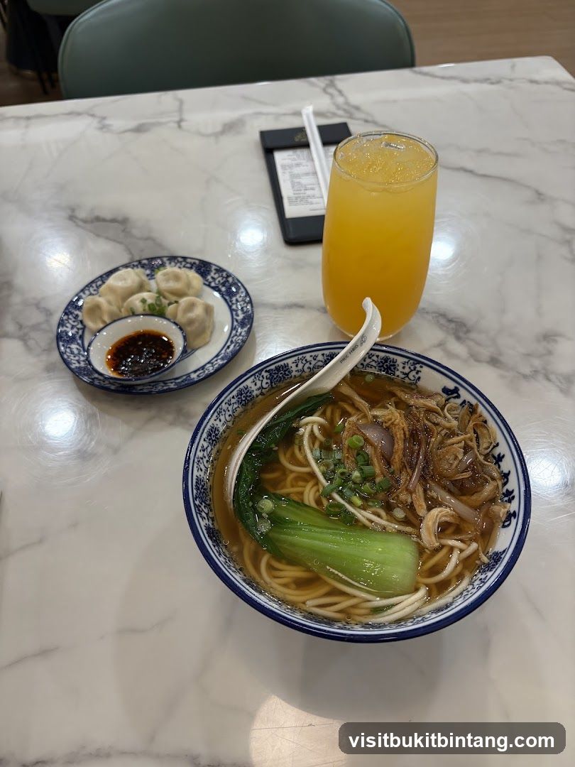 Noodle Soup and Dumplings