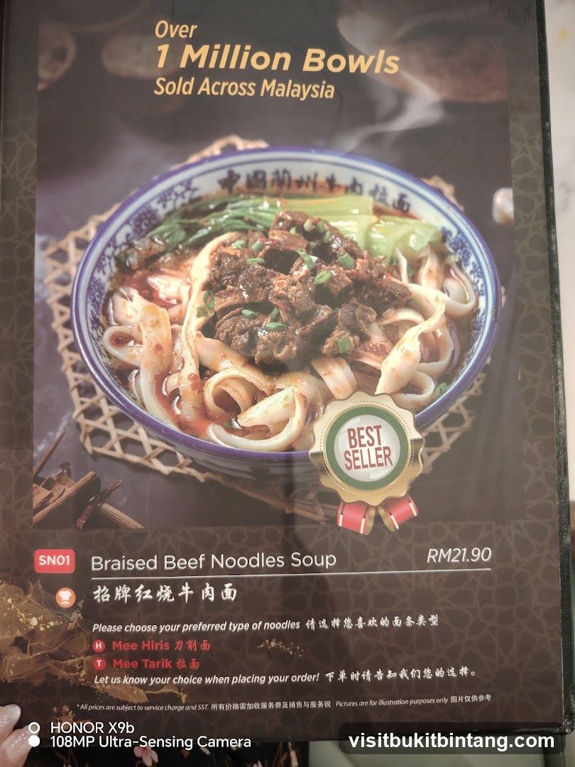 Braised Beef Noodles Soup