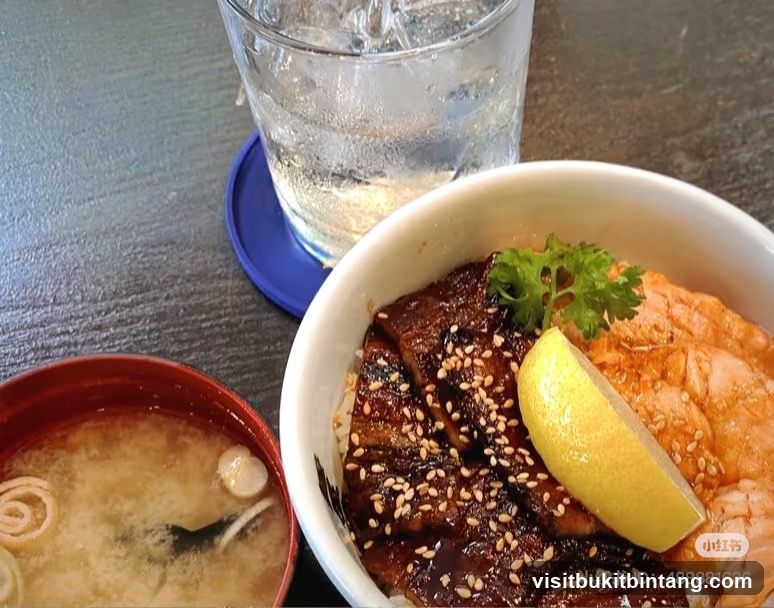 Donburi with Salmon and Eel