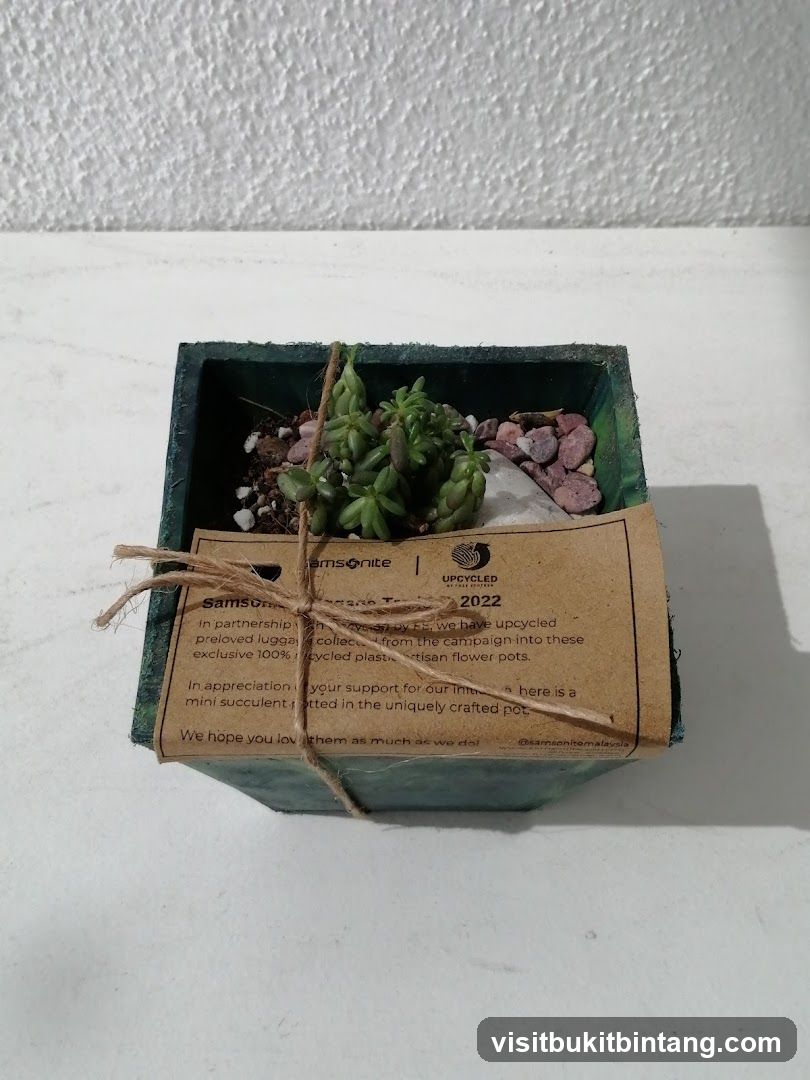 Samsonite Upcycled Pot