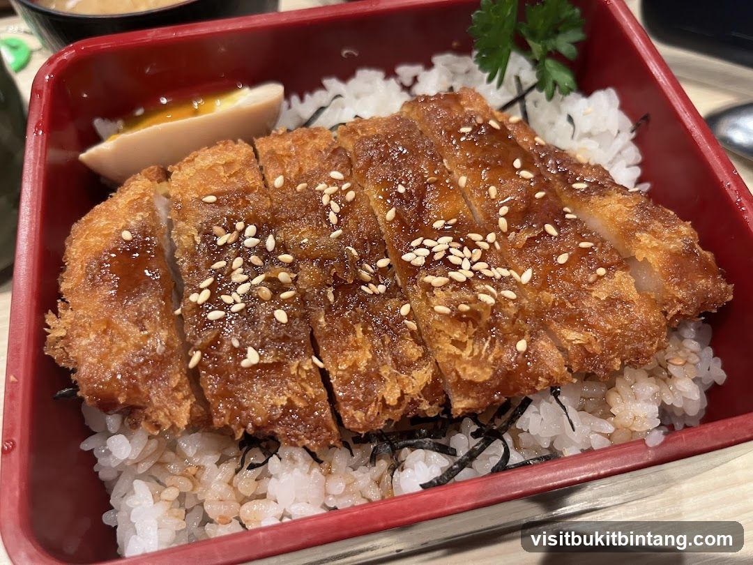 Katsu Donburi