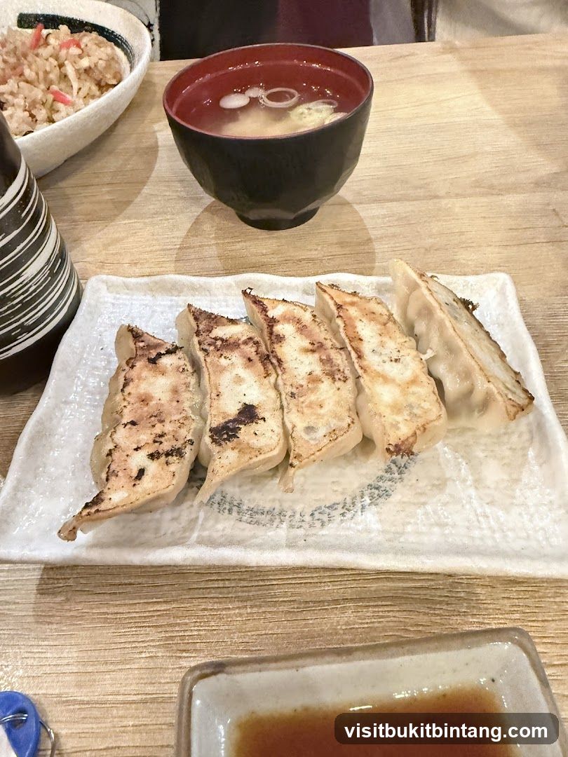 Gyoza and Miso Soup