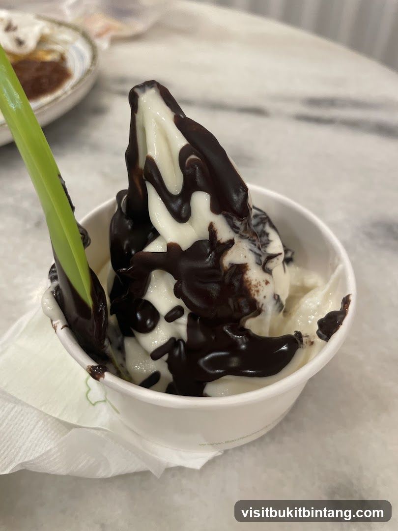 Soft Serve Ice Cream with Chocolate Drizzle