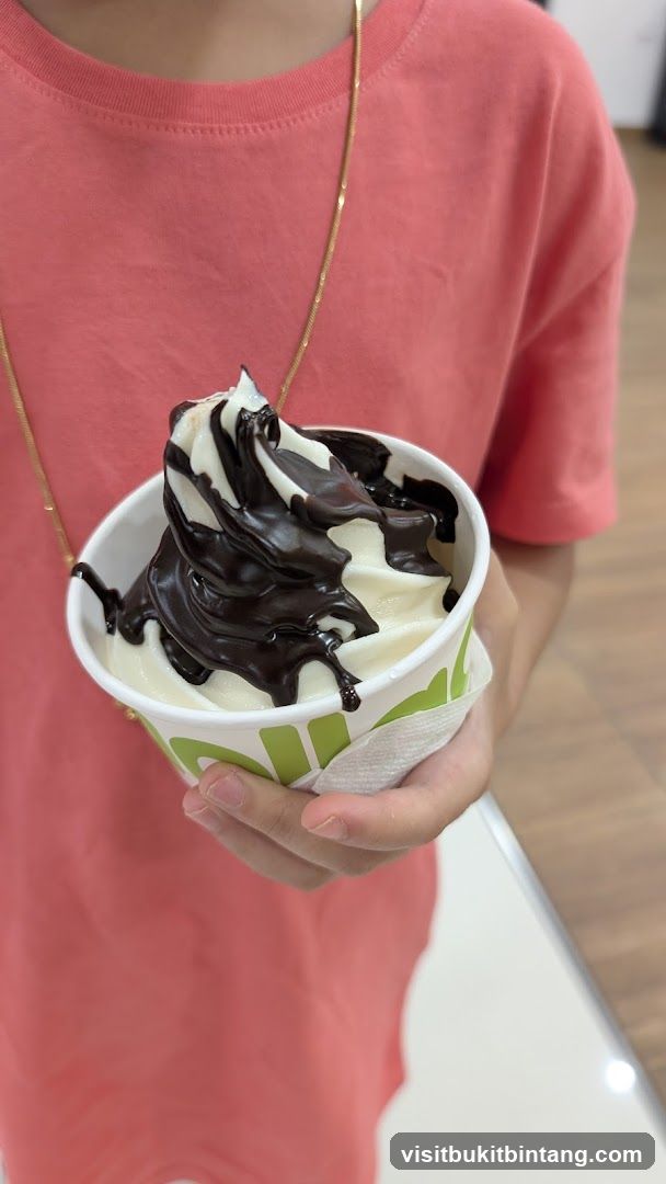 Soft Serve Ice Cream with Chocolate Drizzle