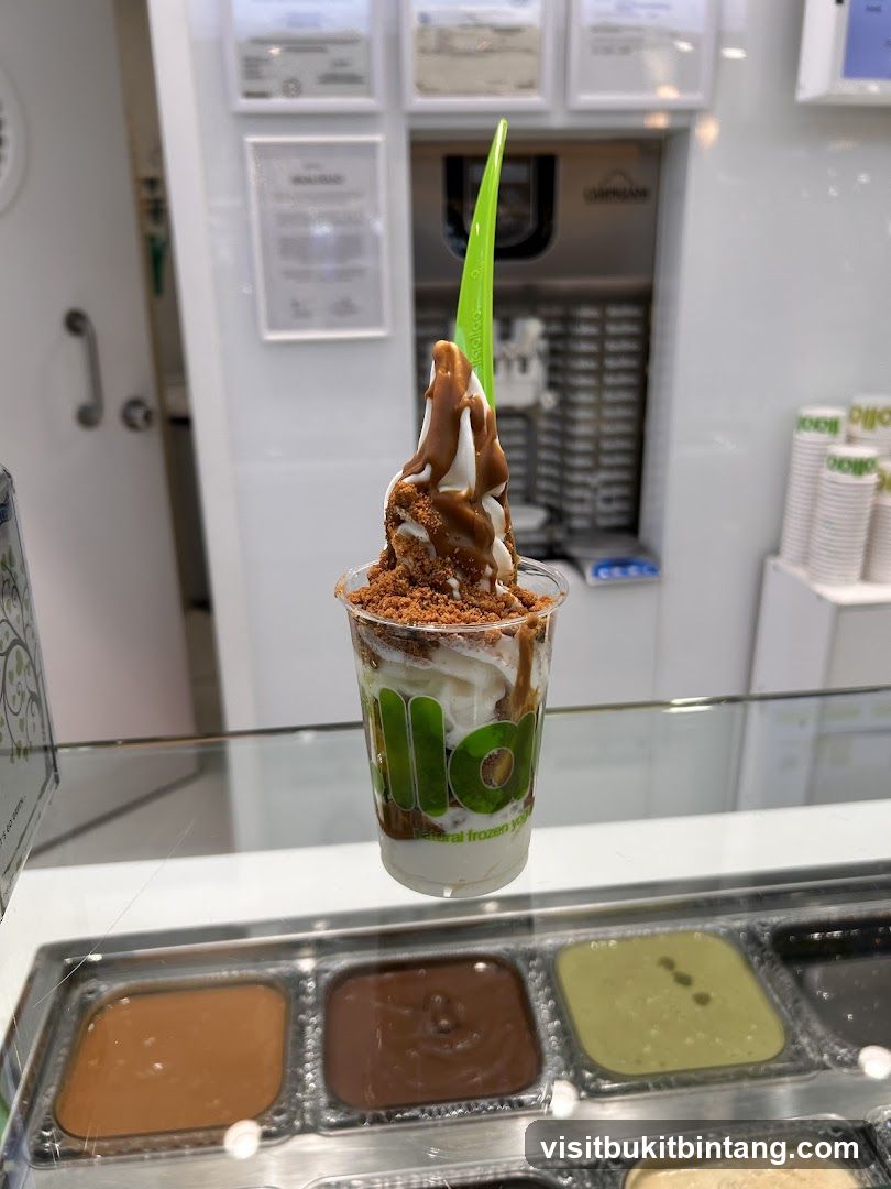 Frozen Yogurt with Toppings