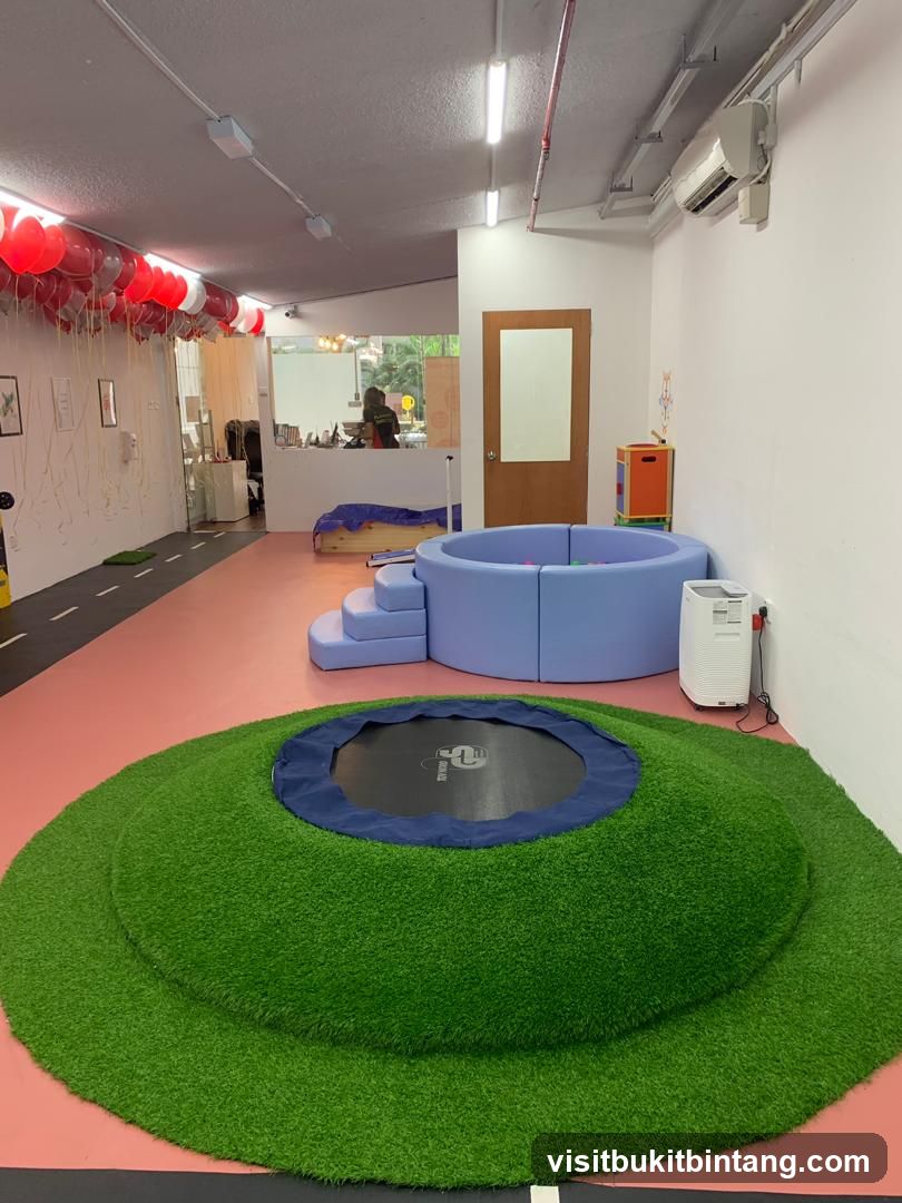 Indoor Play Area with Trampoline and Ball Pit