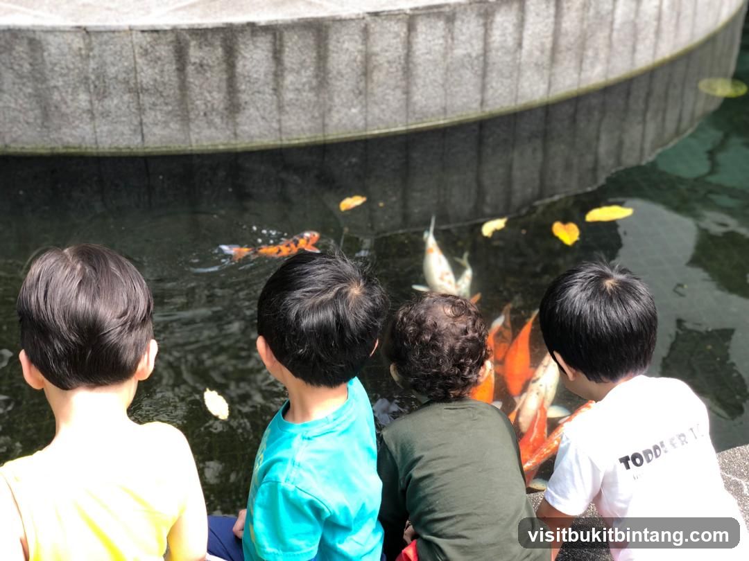 Children Watching Koi Fish