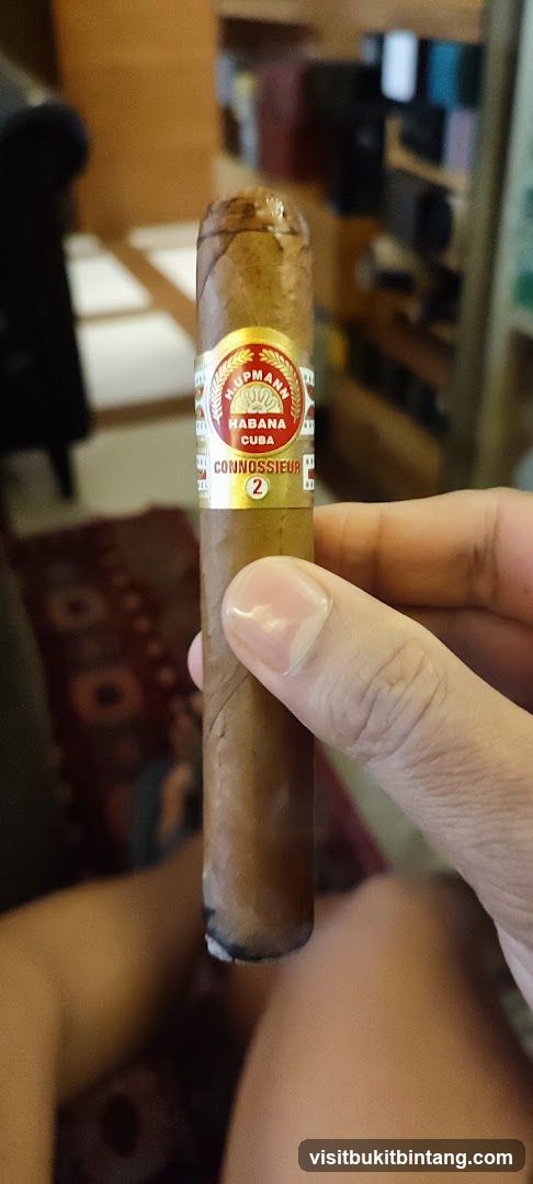 Cigar held in hand