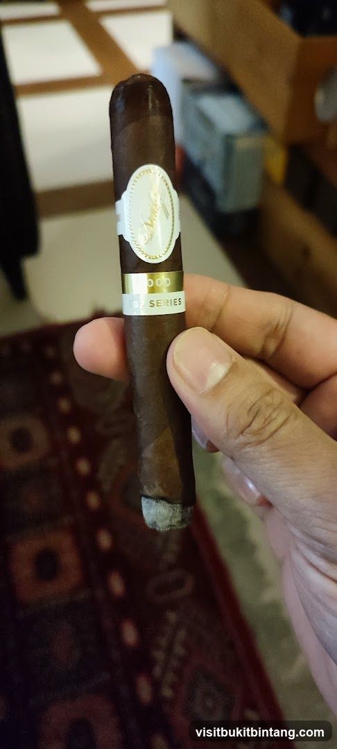 Cigar held in hand