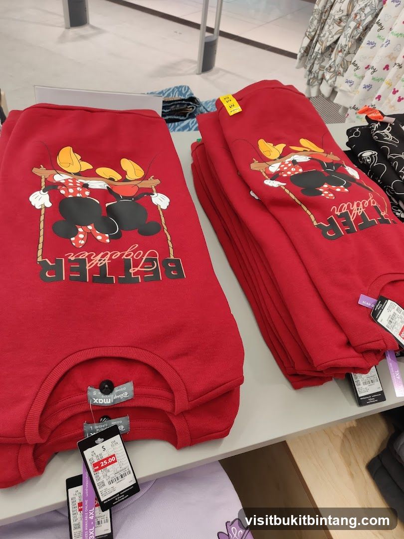 Disney Themed Sweatshirts
