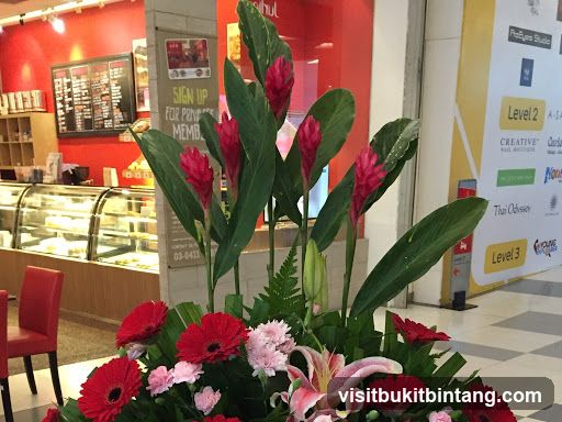 Cafe Interior with Floral Arrangement