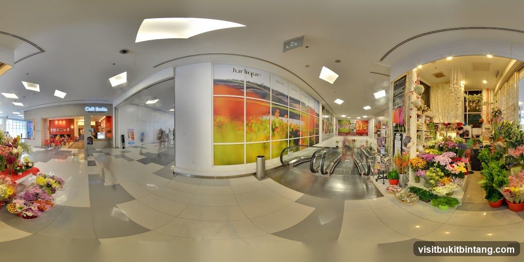 Indoor shopping mall with flower shop and cafe