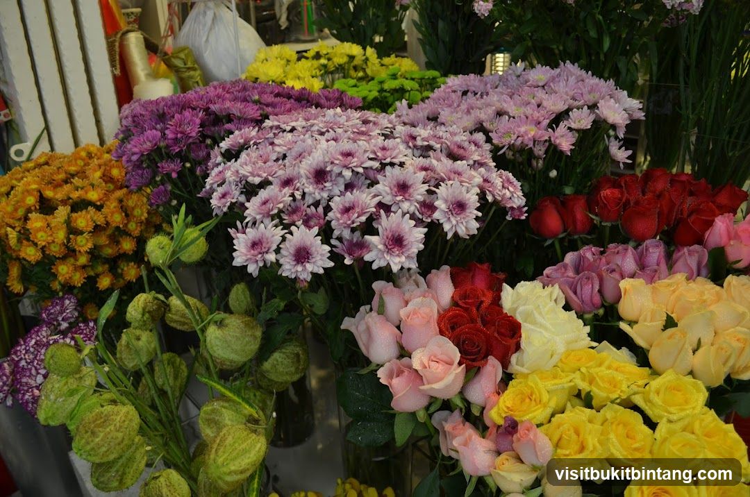 Assortment of Flowers